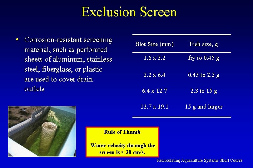 Exclusion Screen • Corrosion-resistant screening material, such as perforated sheets of aluminum, stainless steel,