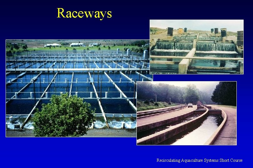 Raceways Recirculating Aquaculture Systems Short Course 