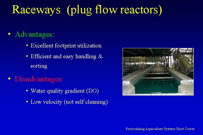 Raceways (plug flow reactors) • Advantages: • Excellent footprint utilization • Efficient and easy