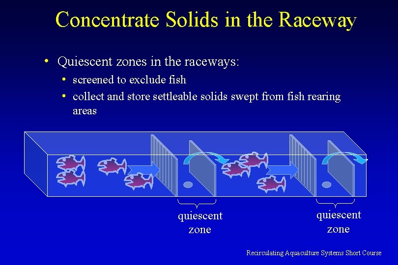 Concentrate Solids in the Raceway • Quiescent zones in the raceways: • screened to