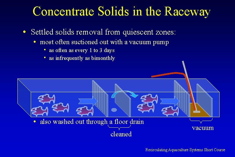 Concentrate Solids in the Raceway • Settled solids removal from quiescent zones: • most