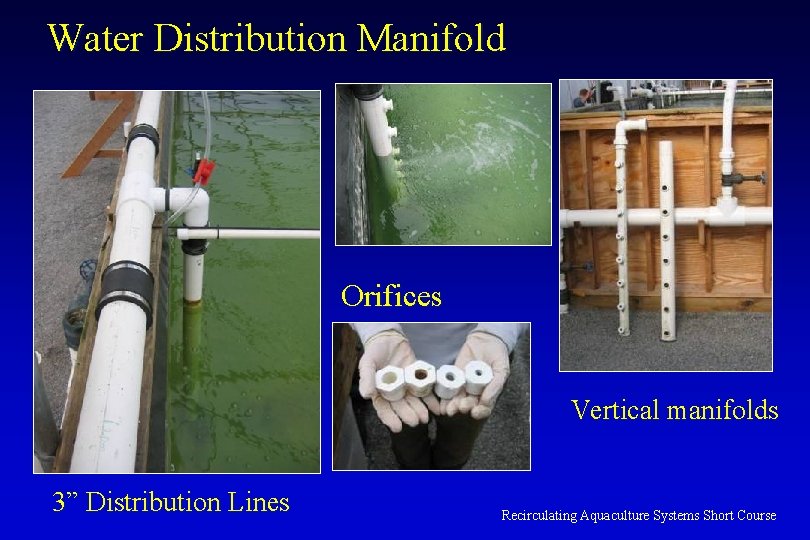 Water Distribution Manifold Orifices Vertical manifolds 3” Distribution Lines Recirculating Aquaculture Systems Short Course