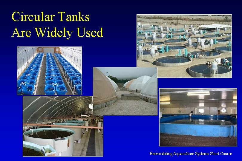 Circular Tanks Are Widely Used Recirculating Aquaculture Systems Short Course 