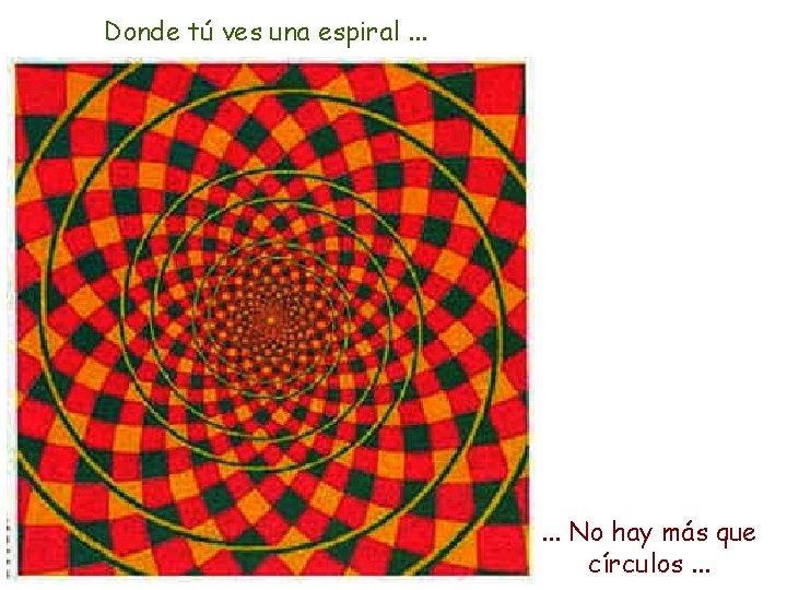 Donde tú ves una espiral. . . No hay más que círculos. . .