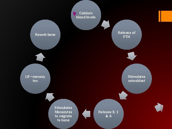 Calcium blood levels Resorb bone Release of PTH LIF+monocy tes Stimulates osteoblast Stimulates Monocytes