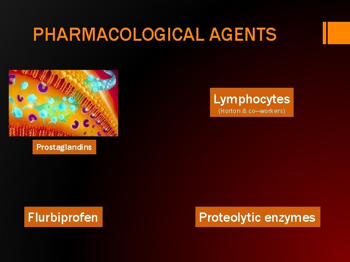 PHARMACOLOGICAL AGENTS Lymphocytes (Horton & co—workers) Prostaglandins Flurbiprofen Proteolytic enzymes 