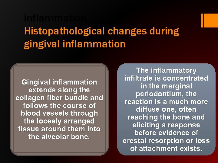 inflammation Histopathological changes during gingival inflammation Gingival inflammation extends along the collagen fiber bundle