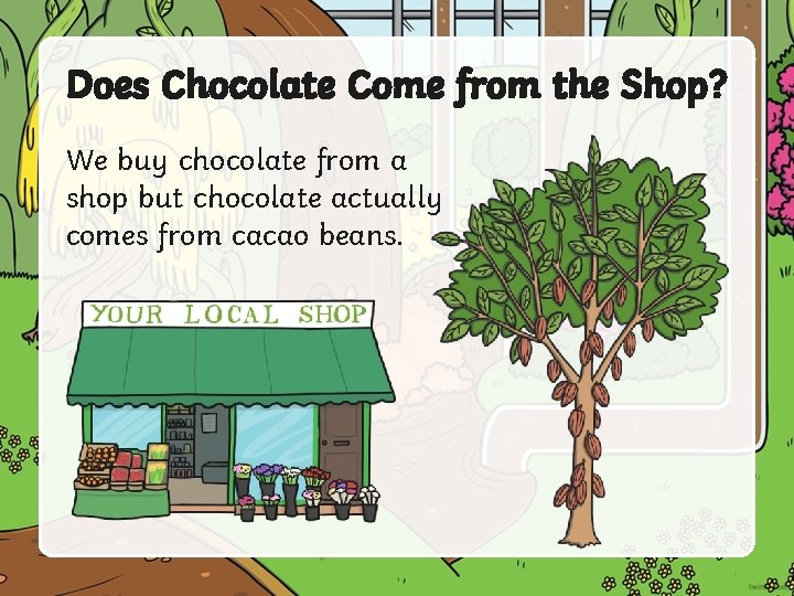 Does Chocolate Come from the Shop? We buy chocolate from a shop but chocolate