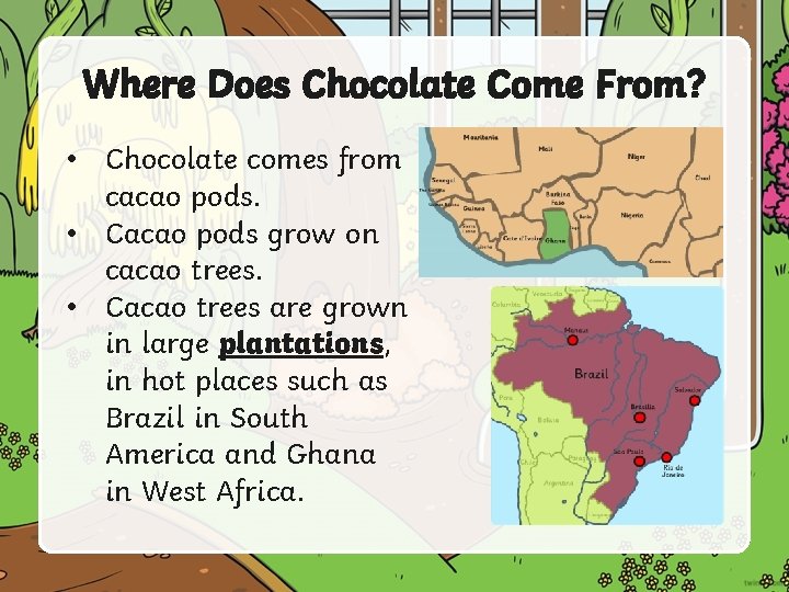 Where Does Chocolate Come From? • Chocolate comes from cacao pods. • Cacao pods