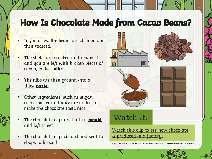 How Is Chocolate Made from Cacao Beans? • In factories, the beans are cleaned