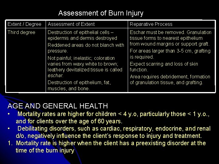 Assessment of Burn Injury Extent / Degree Assessment of Extent Reparative Process Third degree