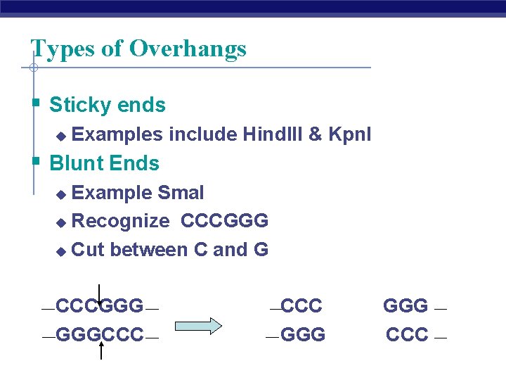 Types of Overhangs § Sticky ends u Examples include Hind. III & Kpn. I