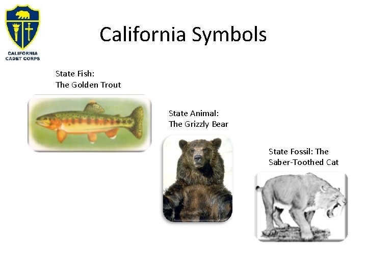 California Symbols State Fish: The Golden Trout State Animal: The Grizzly Bear State Fossil: