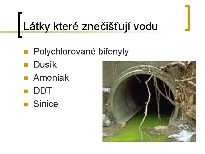 Látky které znečišťují vodu n n n Polychlorované bifenyly Dusík Amoniak DDT Sinice 