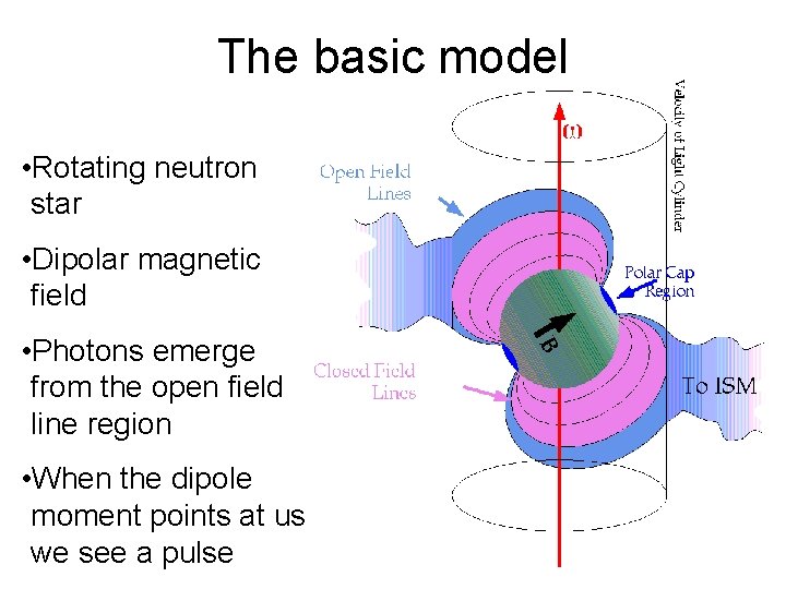 The basic model • Rotating neutron star • Dipolar magnetic field • Photons emerge
