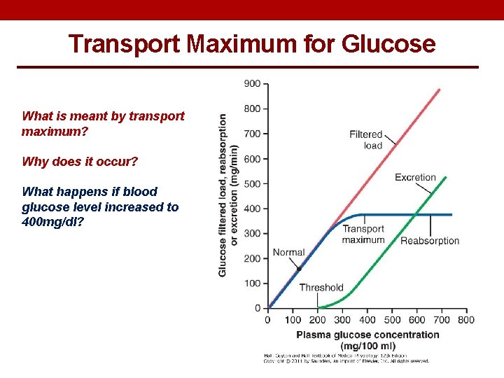 Transport Maximum for Glucose What is meant by transport maximum? Why does it occur?