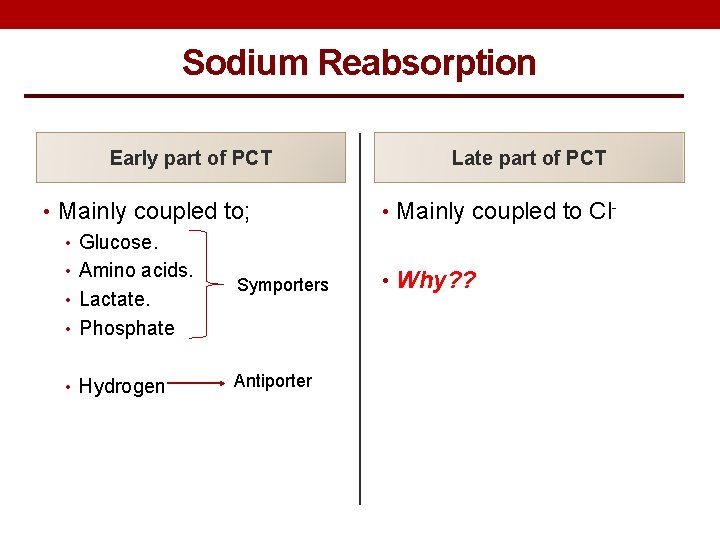 Sodium Reabsorption Early part of PCT • Mainly coupled to; • Glucose. • Amino
