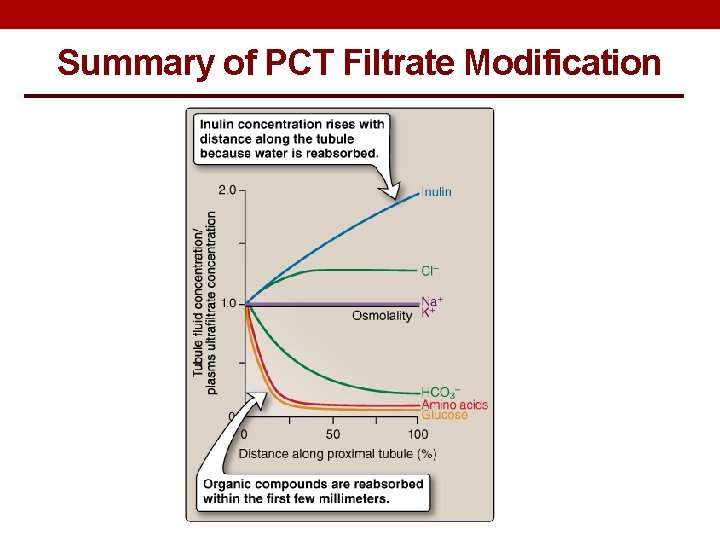 Summary of PCT Filtrate Modification 
