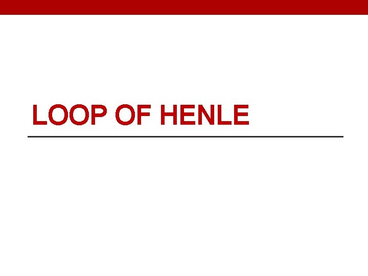 LOOP OF HENLE 