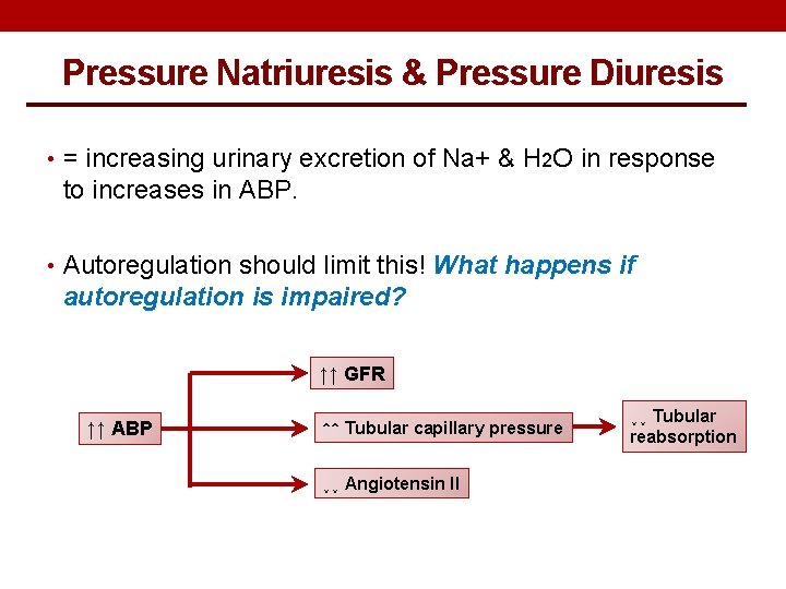 Pressure Natriuresis & Pressure Diuresis • = increasing urinary excretion of Na+ & H