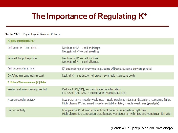 The Importance of Regulating K+ (Boron & Boulpaep. Medical Physiology) 
