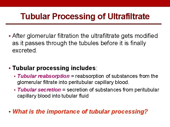 Tubular Processing of Ultrafiltrate • After glomerular filtration the ultrafiltrate gets modified as it