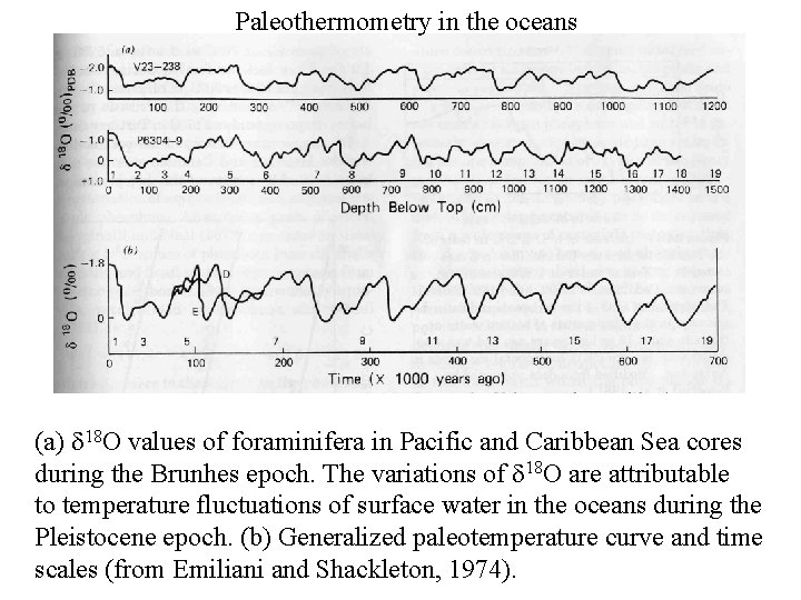 Paleothermometry in the oceans (a) 18 O values of foraminifera in Pacific and Caribbean