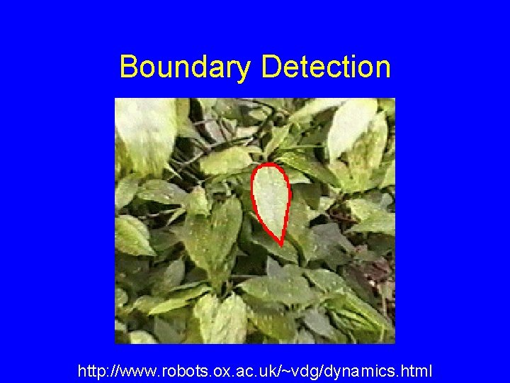 Boundary Detection http: //www. robots. ox. ac. uk/~vdg/dynamics. html 