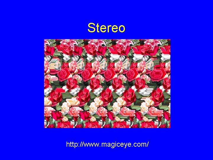 Stereo http: //www. magiceye. com/ 