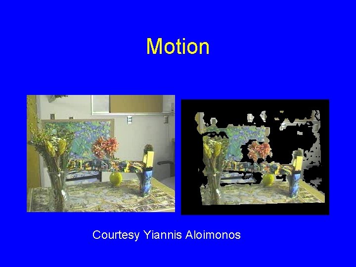 Motion Courtesy Yiannis Aloimonos 