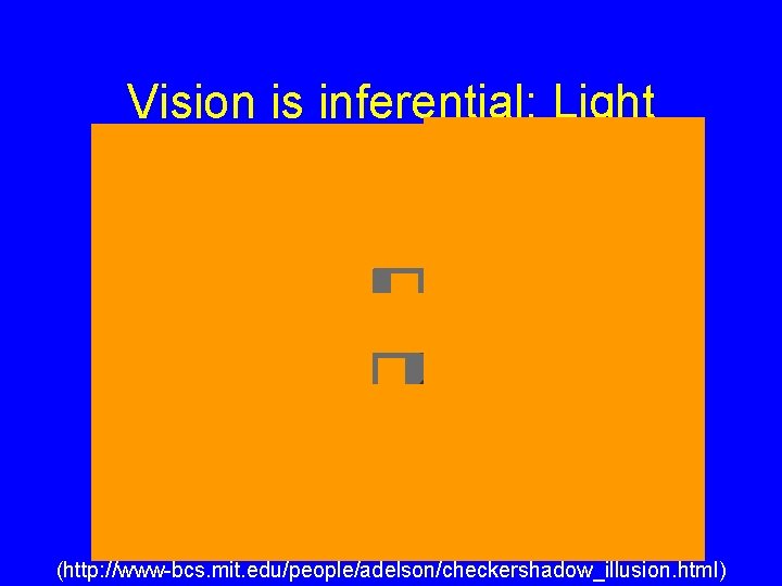 Vision is inferential: Light (http: //www-bcs. mit. edu/people/adelson/checkershadow_illusion. html) 