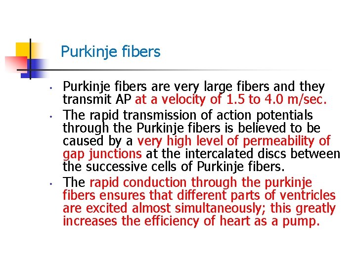 Purkinje fibers • • • Purkinje fibers are very large fibers and they transmit