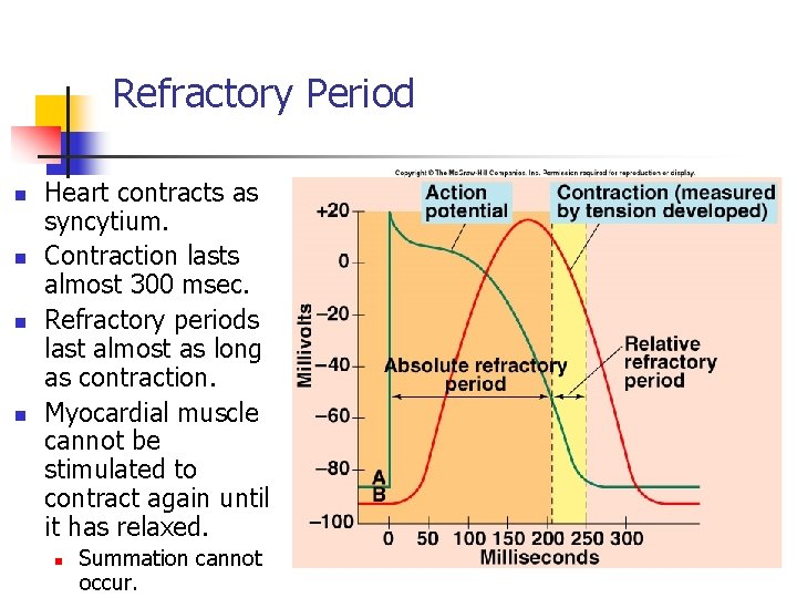 Refractory Period n n Heart contracts as syncytium. Contraction lasts almost 300 msec. Refractory