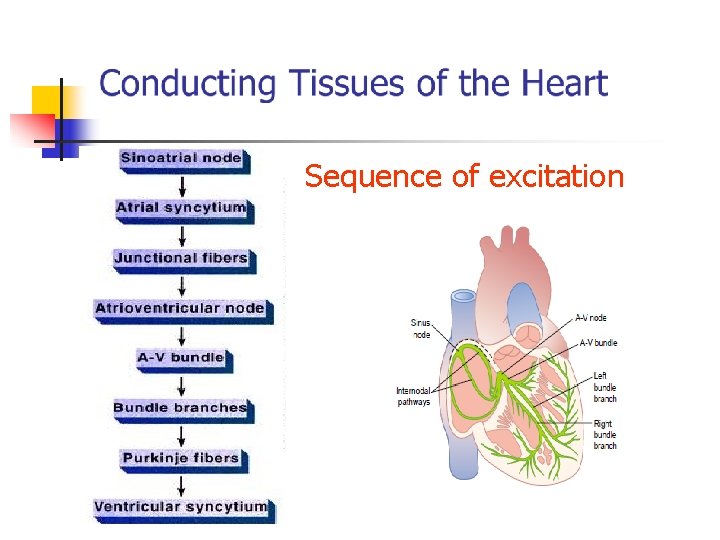 Sequence of excitation 