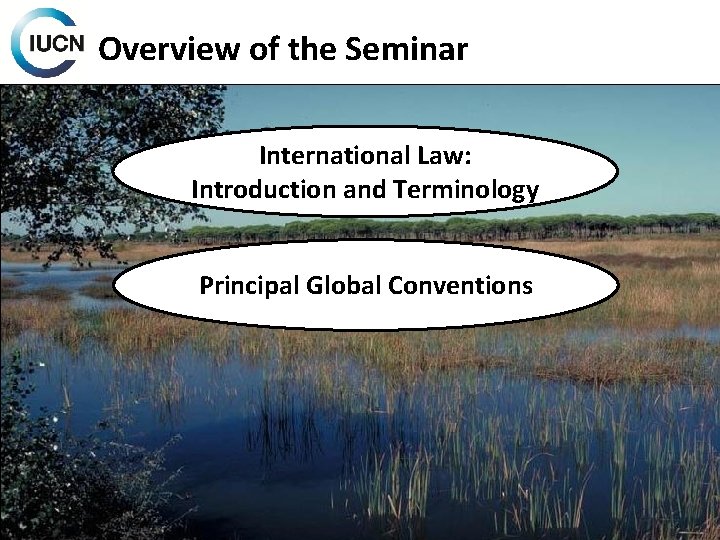 Overview of the Seminar International Law: Introduction and Terminology Principal Global Conventions 