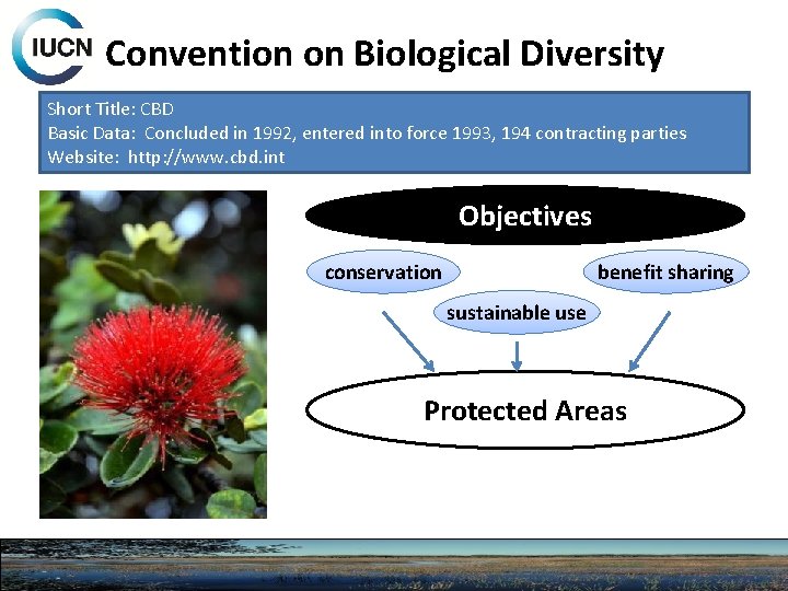 Convention on Biological Diversity Short Title: CBD Basic Data: Concluded in 1992, entered into