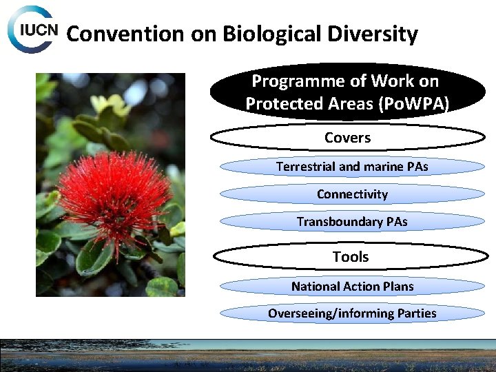 Convention on Biological Diversity Programme of Work on Protected Areas (Po. WPA) Covers Terrestrial