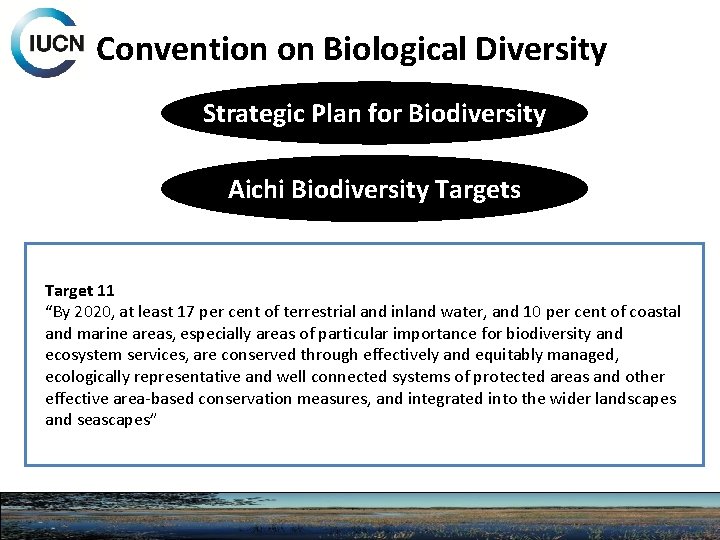 Convention on Biological Diversity Strategic Plan for Biodiversity Aichi Biodiversity Targets Target 11 “By