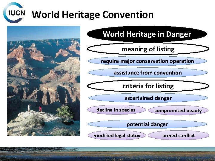 World Heritage Convention World Heritage in Danger meaning of listing require major conservation operation