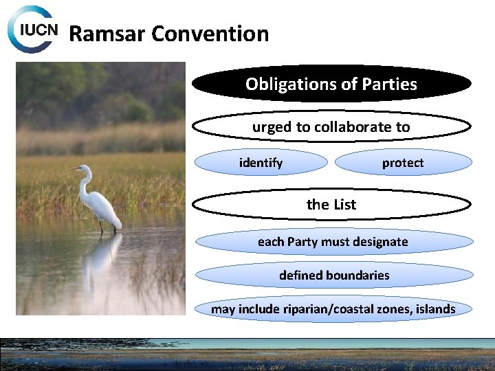 Ramsar Convention Obligations of Parties urged to collaborate to identify protect the List each