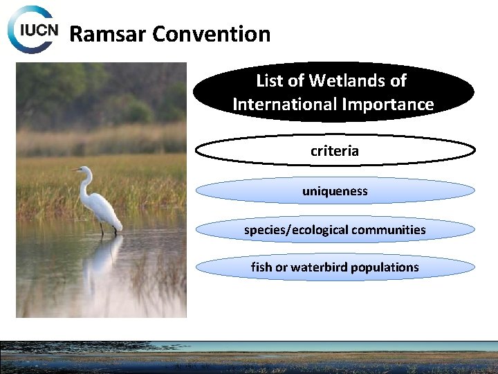 Ramsar Convention List of Wetlands of International Importance criteria uniqueness species/ecological communities fish or