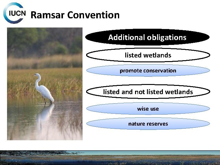 Ramsar Convention Additional obligations listed wetlands promote conservation listed and not listed wetlands wise