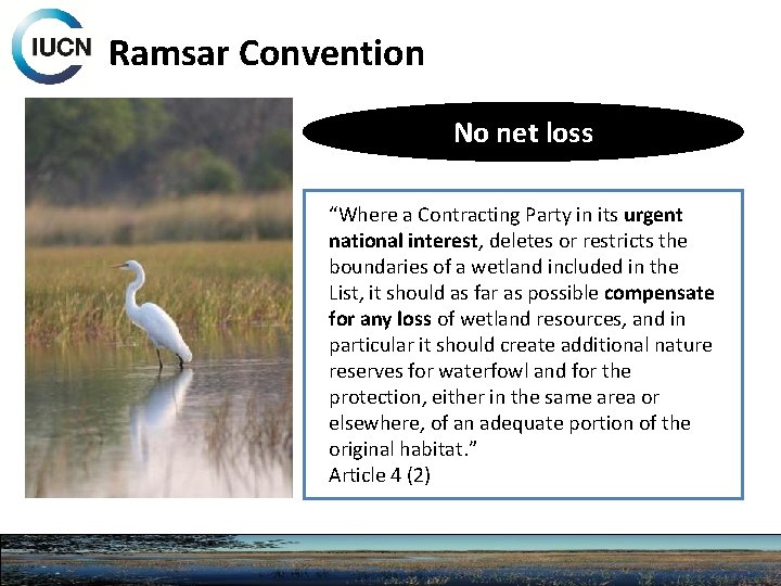 Ramsar Convention No net loss “Where a Contracting Party in its urgent national interest,