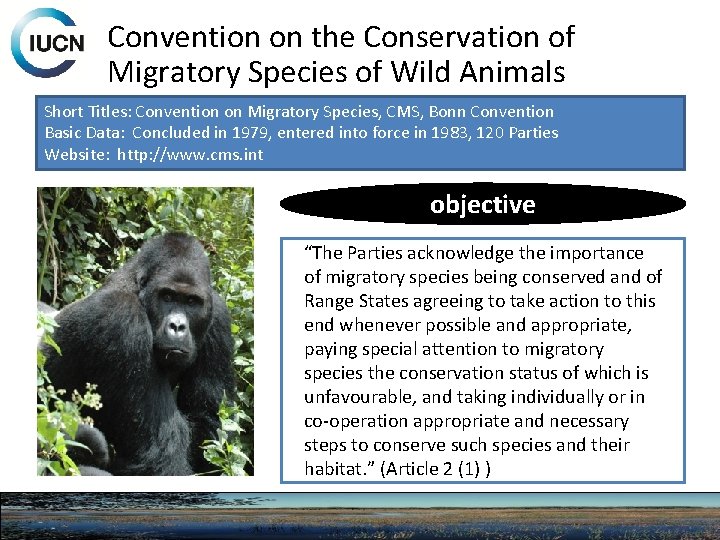 Convention on the Conservation of Migratory Species of Wild Animals Short Titles: Convention on