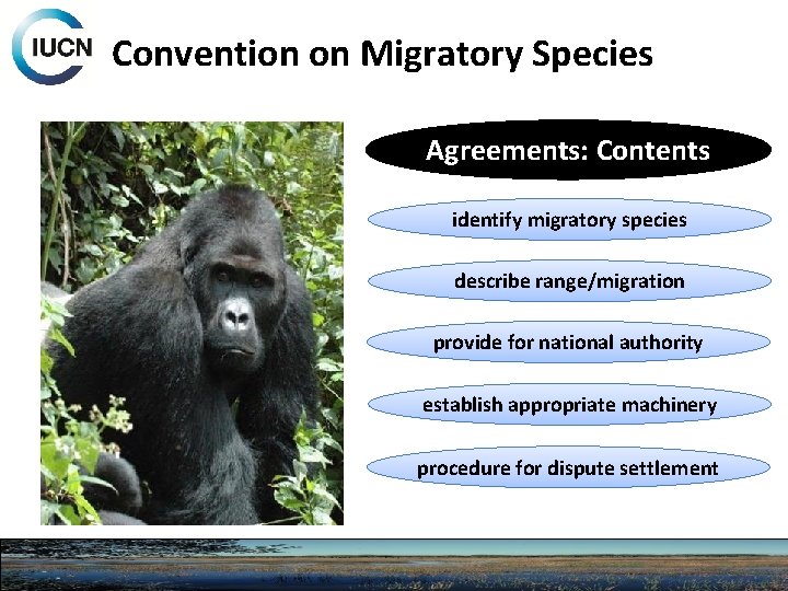 Convention on Migratory Species Agreements: Contents identify migratory species describe range/migration provide for national