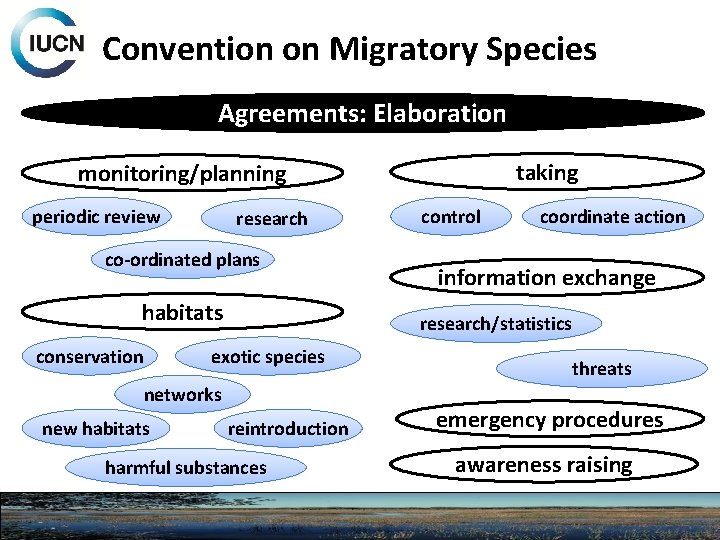 Convention on Migratory Species Agreements: Elaboration taking monitoring/planning periodic review research co-ordinated plans habitats