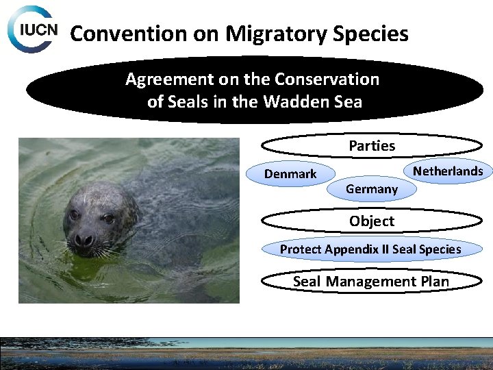 Convention on Migratory Species Agreement on the Conservation of Seals in the Wadden Sea