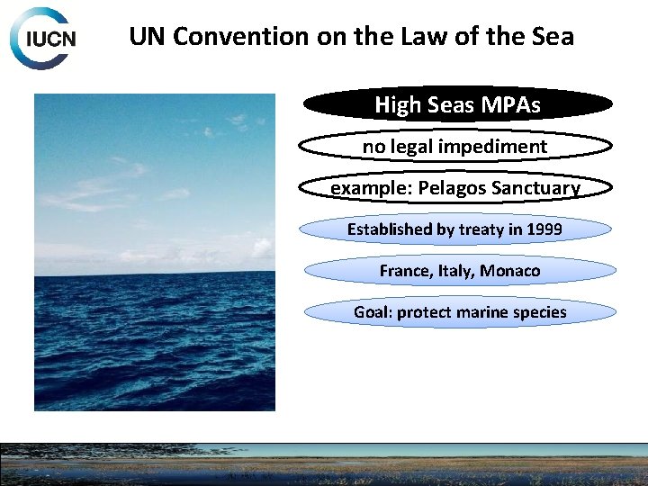 UN Convention on the Law of the Sea High Seas MPAs no legal impediment
