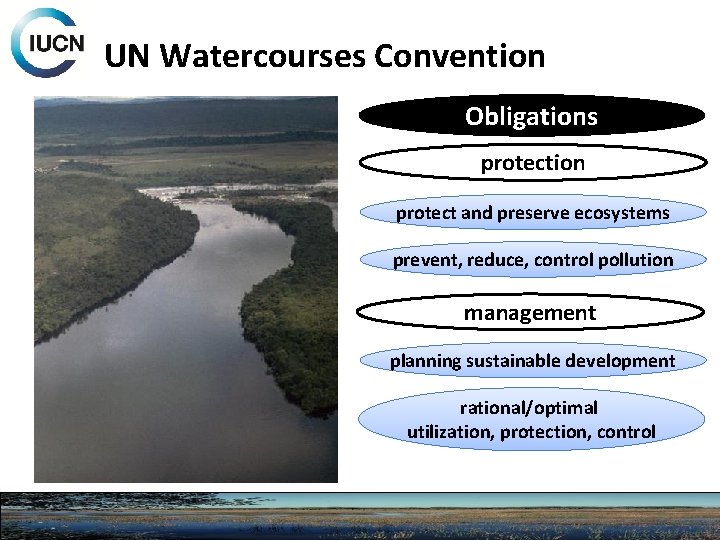 UN Watercourses Convention Obligations protection protect and preserve ecosystems prevent, reduce, control pollution management