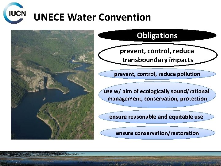 UNECE Water Convention Obligations prevent, control, reduce transboundary impacts prevent, control, reduce pollution use